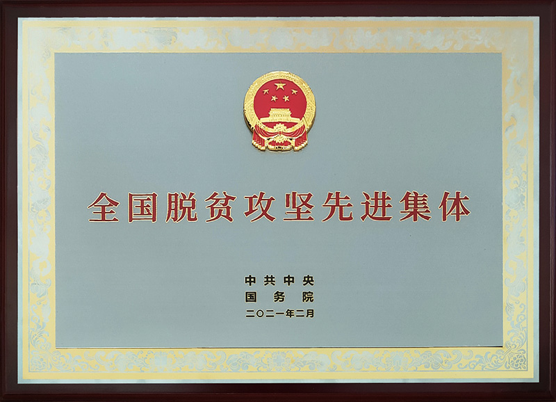脱贫攻坚-全国奖.jpg