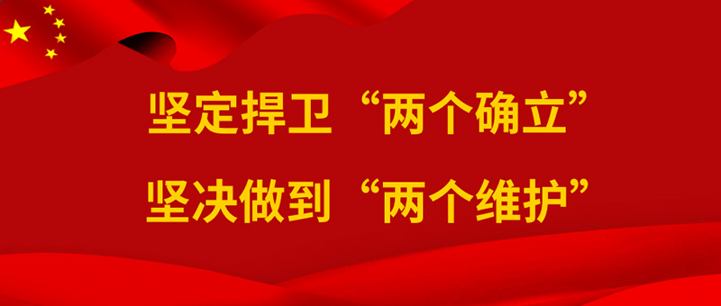 坚定捍卫两个确立.jpg