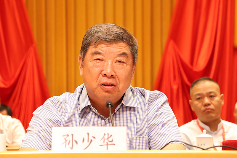 中华慈善总会副会长孙少华出席并讲话.jpg
